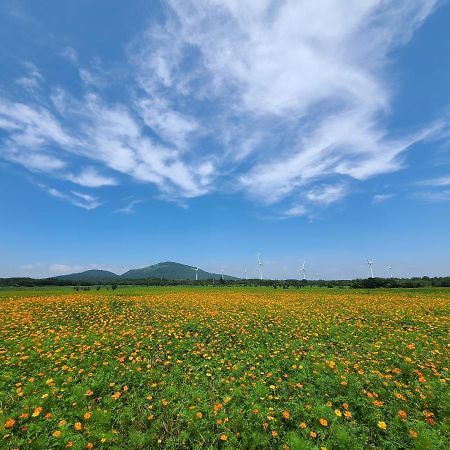 Brassica Flower Pension Villa Seogwipo Luaran gambar