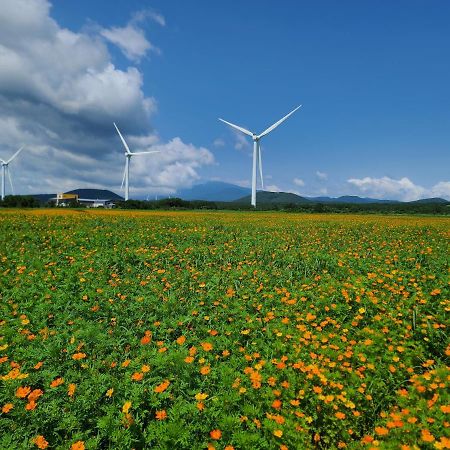 Brassica Flower Pension Seogwipo Luaran gambar