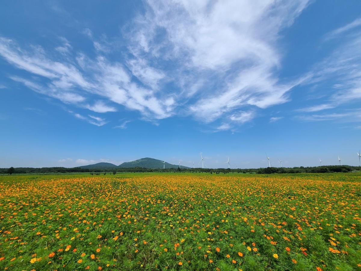 Brassica Flower Pension Villa Seogwipo Luaran gambar