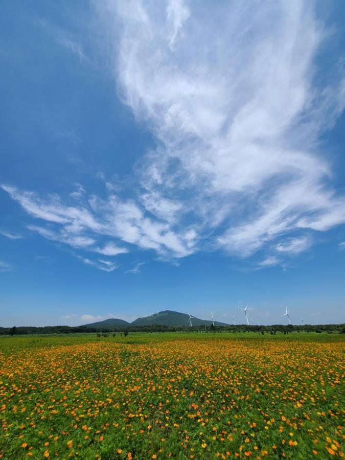 Brassica Flower Pension Villa Seogwipo Luaran gambar