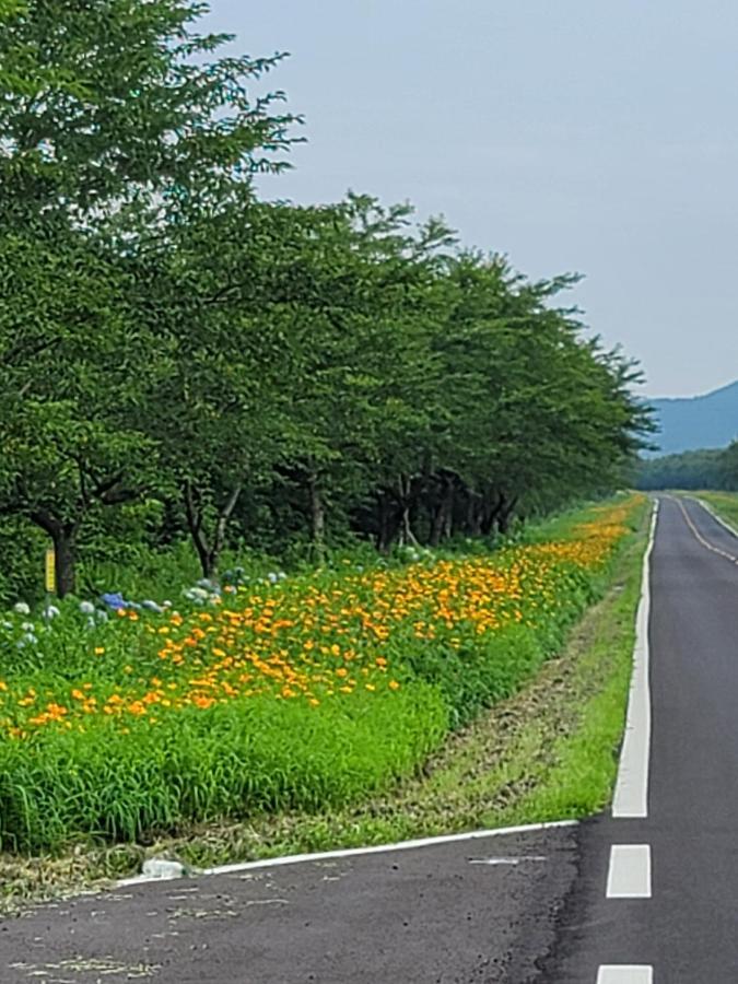 Brassica Flower Pension Villa Seogwipo Luaran gambar