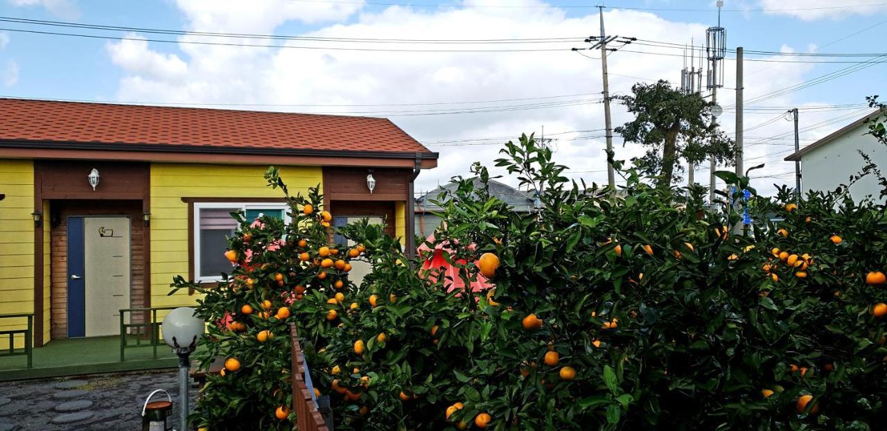 Brassica Flower Pension Villa Seogwipo Luaran gambar