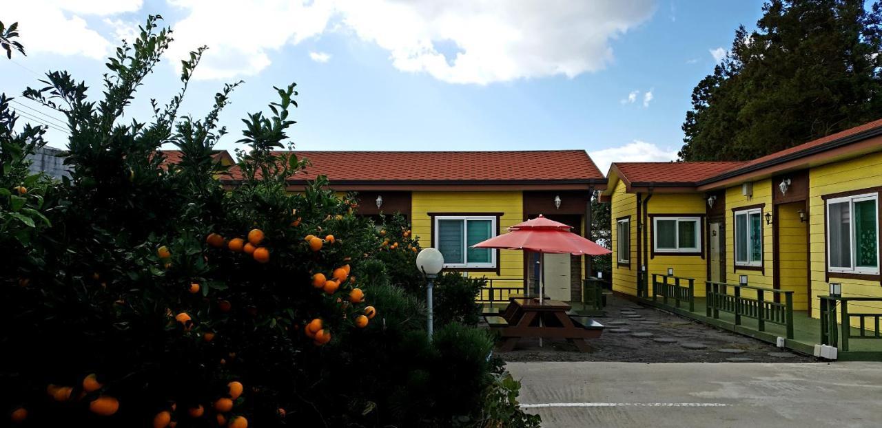 Brassica Flower Pension Seogwipo Luaran gambar