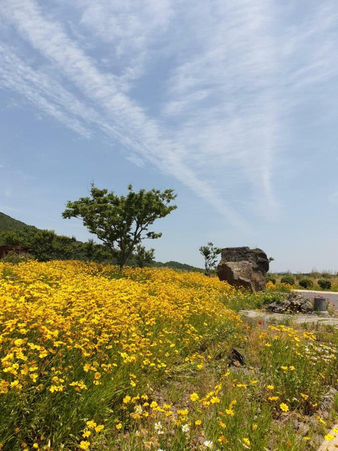 Brassica Flower Pension Villa Seogwipo Luaran gambar